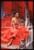 35mm vintage slide* 1985 ITALY singer Josette MARTIAL Portrait (9)