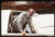 35mm vintage slide* 1992 ca VENICE American film director Brian DE PALMA (37)