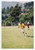 1990 GLENDALE - FOOTBALL Workout of GLENDALE College team *Foto 10x15 cm (72)