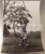 1970 ca COSTUME ITALIA Ritratto cantante Iva ZANICCHI in campagna *Foto 30x40 cm