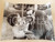 1970 ca COSTUME Carlo GIUFFRE' con moglie e figlio bambino (2) Foto 40x30 cm