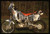 KTM 520 EXC - MOTO CROSS 2003 35 mm vintage slide