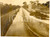 Fotografia d'epoca originale 1928 POZZUOLI (NA) LocalitÃ  LICOLA - Grande canale della bonifica *Foto 13,5x10 1