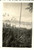 Fotografia d epoca originale 1938 ARGOENIBAI PAPUA L ampia costa vista dal MANGGAI 1