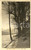 Cartolina originale da collezione 1929 COASSOLO TORINESE TO Dal Piano di COUP  Ultimi raggi Cartolina FP VG 1