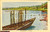 Cartolina originale da collezione 1930 ca GOLASECCA VA Il Ticino   Cartolina postale 1