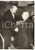 1958 ROMA Hans-Christoph SEEBOHM stringe la mano ad Armando ANGELINI *Foto 13x18