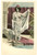 1900 ca VINTAGE EROTIC Arab nude woman with translucent robe ^Postcard risque  Cartolina postale d'epoca, non viaggiata.CONDIZIONI: G FORMATO: FP    originale e autentica 1
