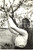 Fotografia d'epoca originale 1942 MILANO Ragazza coglie fiori Ludi Juveniles G.I.L. 1