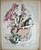 Stampa, bozzetto originale 1871 Caricatura THIERS et RÃ©publique Faustin BETBEDER 1