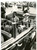 1956 ROMA Carla GRONCHI con Antoinette TUBMAN in visita ufficiale *Foto 13x18 cm Fotografia d'epoca con didascalia coeva al verso. CONDIZIONI:G (ma lieve ondulatura al margine sinistro)FORMATO: 13x18 cm     originale e autentica 1