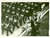Fotografia d epoca originale 1935 ca ROMA Truppe di marinaretti sfilano davanti a Renato RICCI Foto 1