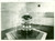 Fotografia d epoca originale 1936 ROMA Inaugurazione nuovo Centro Terapeutico MutualitÃ  scolastica FOTOGRAFIA 1