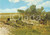 Cartolina originale da collezione 1975 ca ESERCITO ITALIANO Bersaglieri in appostamento Cartolina FG NV 1