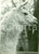 Fotografia d epoca originale 1941 MILANO Un lama bianco allo zoo Vera fotografia 1