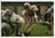 1995 MILANO - FOOTBALL Sive RHINOS Milano vs GIANTS Bolzano *Foto 15x10 (5)