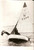 Fotografia d epoca originale 1965 ca UK Bizzarre acrobazie in barca a vela Foto 17x13 cm 1