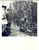 Fotografia d epoca originale 1939 AREA LOMBARDA Dimostrazione del lavoro in campo di mais Foto CRIMELLA 1