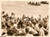 Fotografia d epoca originale 1938 SOUTHWOLD UK Re George VI sbarca da scialuppa al campo estivo dei ragazzi 1