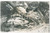 1930 ca C. ZAGOURSKI "Le Congo Illustré" - Indigène  à côté d'un grand arbre  Fotocartolina postale d'epoca, appartenente alla serie &laquo;Le Congo Illustr&eacute;&raquo; del fotografo Casimir Zagourski (L&eacute;opoldville).CONDIZIONI: GFORMATO: 14x9 cm    originale e autentica 1