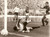Fotografia d epoca originale 1988 CAMPIONATO Calcio BOLOGNA  PISA Giuseppe LORENZO sbaglia gol Fotografia 1