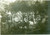 Fotografia d epoca originale 1937 AFRICA ORIENTALE ITALIANA Accampamento di ascari a cavallo Fotografia 1