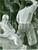 Fotografia d epoca originale 1935 IMOLA BO Pittore MARCOTTI Concorso per Alessandro MUSSOLINI Fotografia 1