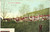 Cartolina originale da collezione 1907 Miazzina  Vedutina animata a colori Rara 1
