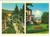 Cartolina originale da collezione 1970 ca RONCEGNO TN Palazzo delle terme Giardini Cartolina VINTAGE DANNEGGIATA 1