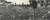 Fotografia d'epoca originale 1933 ROMA Folla P.zza SIENA incontro CARNERA vs PAOLINO 1