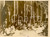 Fotografia d epoca originale 1938 VERSAILLES Albert LEBRUN GIORGIO VI Elizabeth BOWESLYON Galleria Specchi 1