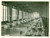 Fotografia d epoca originale 1934 ROMA Refettorio ospedale sanatoriale BENITO MUSSOLINI Fotografia 1
