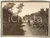 Fotografia d epoca originale 1930 circa PALERMO Il mandarineto dei Fratelli CURRENTI 1