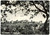 Cartolina originale da collezione 1951 CATTOLICA RN Rocca di GRADARA Cartolina postale FG VG 1