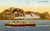 Cartolina originale da collezione 1920 ca GENOVA Nave GIULIO CESARE in viaggio verso il porto *Cartolina FP NV 1