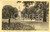 Cartolina originale da collezione 1930 ca ASTI Giardini pubblici con monumento a VITTORIO EMANUELE II ANIMATA FP 1