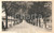 Cartolina originale da collezione 1941 CASALE MONFERRATO AL Viale della Stazione ANIMATA Cartolina FP NV 1