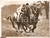 Fotografia d epoca originale 1939 LONDON IPPICA Myrtle LATHAM ottiene patente per allenare cavalli da corsa 1