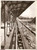 Fotografia d epoca originale 1934 Milano Nettezza Urbana Discarica Cascina Gobba 1
