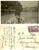 Fotografia d epoca originale 1926 IMOLA ? Mostra canina  Padrone accompagna due esemplari Foto FP VG 1