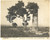 Fotografia d'epoca originale 1937 SIRACUSA Rovine dell'OLYMPIEION accanto ad alberi 1