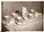 Fotografia d epoca originale 1935 Milano CERAMICHE DELLE ORSOLINE Via Borghetto FOTO 1