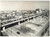 1958 MILANO AUTOSTRADA A7 Passaggio autocarri per il collaudo della "Camionale"