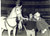 1960 PARIS Gala de l'Union - Joséphine BAKER prépare son numéro avec un cheval