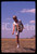 35mm vintage slide* 1980 ca PARLA (SPAGNA) Agnese SARTINI CADUCO allenamento 7