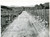1968 CICLISMO GIRO DI LOMBARDIA Muro di SORMANO Tratto in discesa nella campagna Fotografia d'epoca con didascalia coeva.  CONDIZIONI: POOR (piegature al margine superiore) FORMATO: 24x18 cm     originale e autentica 1