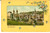 Cartolina originale da collezione 1900 ca SAN GALLO CH Veduta panoramica Cartolina ILLUSTRATA FP NV 1
