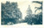 Cartolina originale da collezione 1900 ca PALERMO Giardino INGLESE  Interno Cartolina FP VG 1