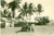 Fotografia d epoca originale 1939 CHISIMAIO SOMALIA AOI Alberi di cocco in piazza Fotografia cm 8 x 5 1