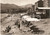 Cartolina originale da collezione 1953 VADO LIGURE SV Spiaggia BAGNI MARGHERITA Cartolina Animata FG VG 1